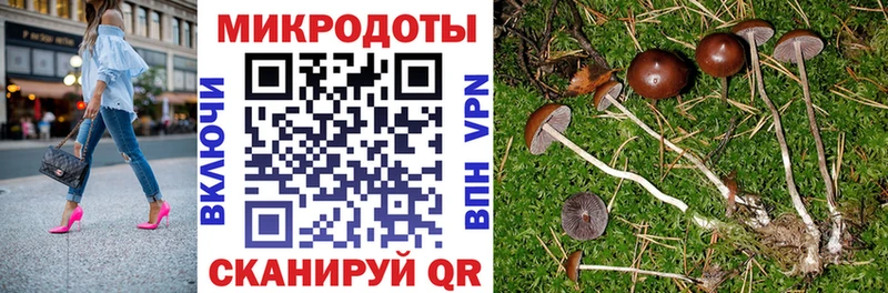 Галлюциногенные грибы мухоморы  как найти наркотики  Нижняя Салда 